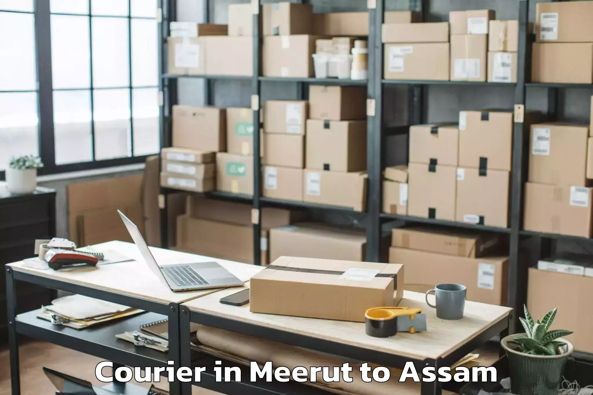 Easy Meerut to Sapatgram Courier Booking